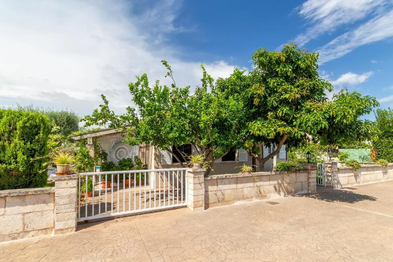 Villa Platja De Muro - 32609 Spain